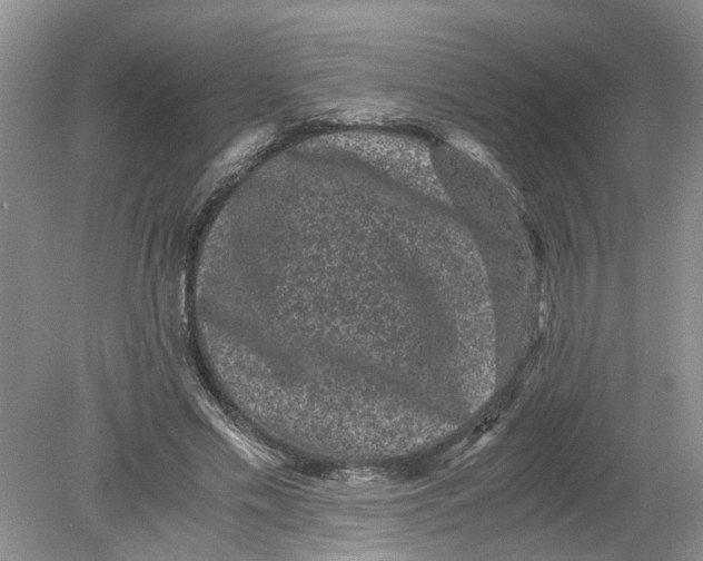 X0000078860589200612041934