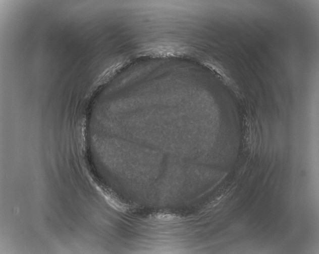 X0000078860590200612041934