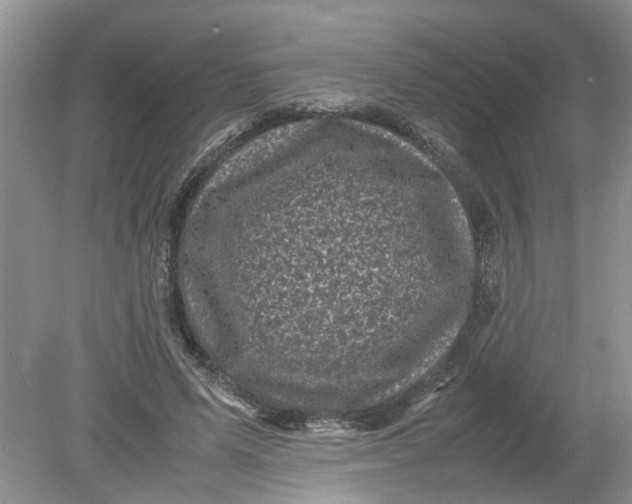 X0000078860591200612041934