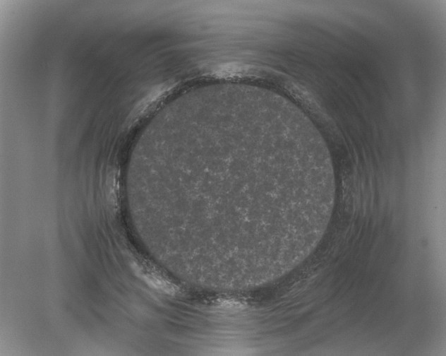 X0000078860592200612041934