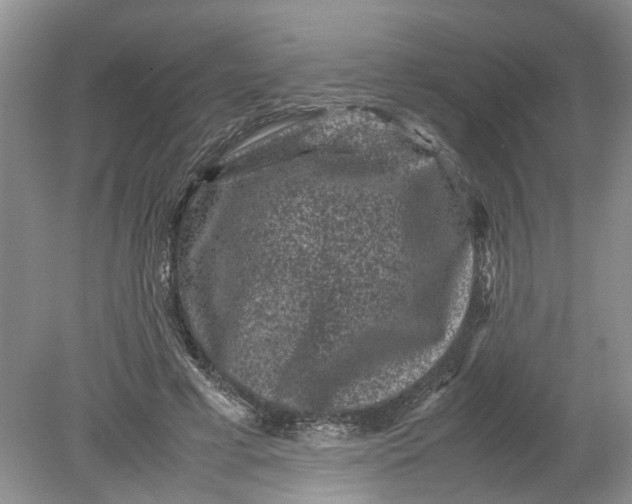 X0000078860593200612041934