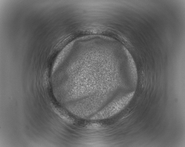 X0000078860594200612041934