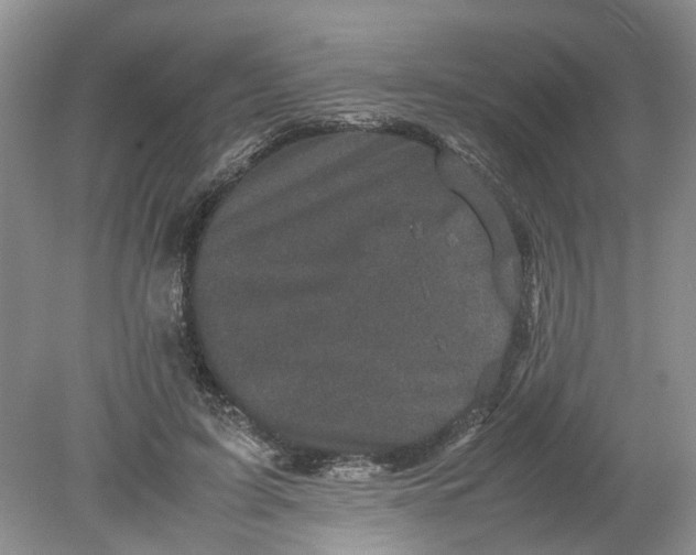 X0000078860595200612041934