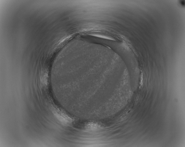 X0000078860596200612041934