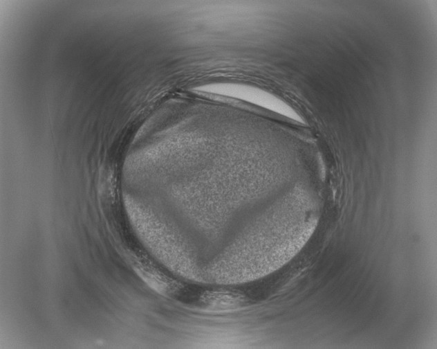 X0000078860597200612041934