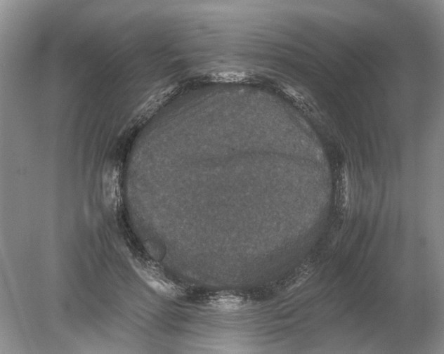 X0000078860598200612041934