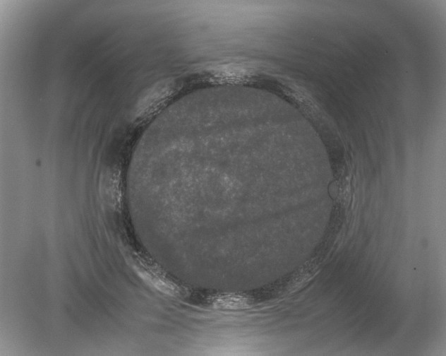 X0000078860599200612041934