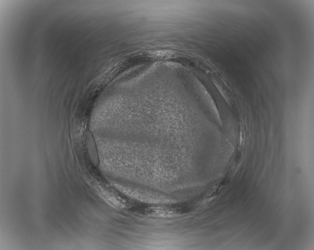 X0000078860601200612041934