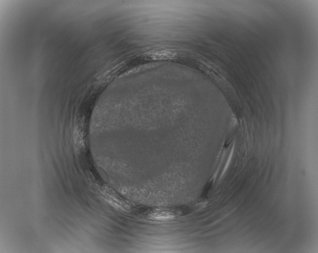 X0000078860604200612041934