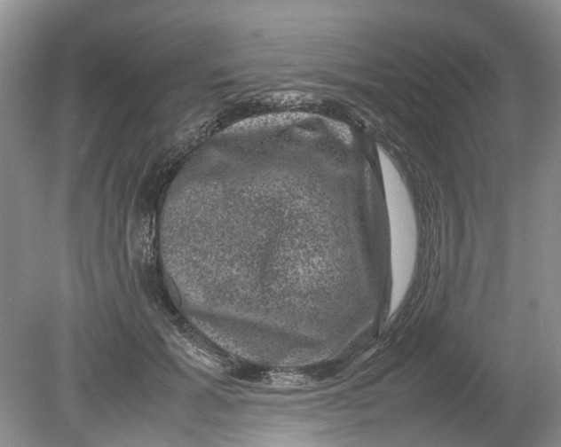 X0000078860605200612041934