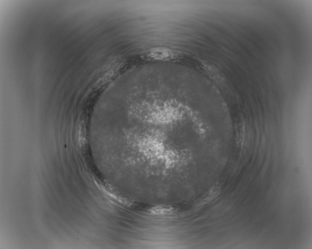 X0000078860606200612041934