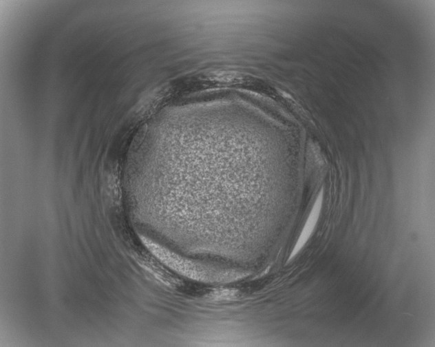 X0000078860609200612041934