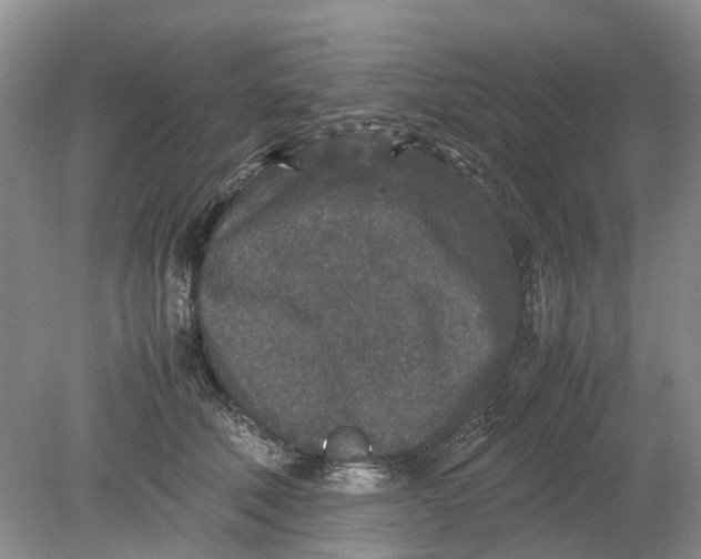 X0000078860610200612041934