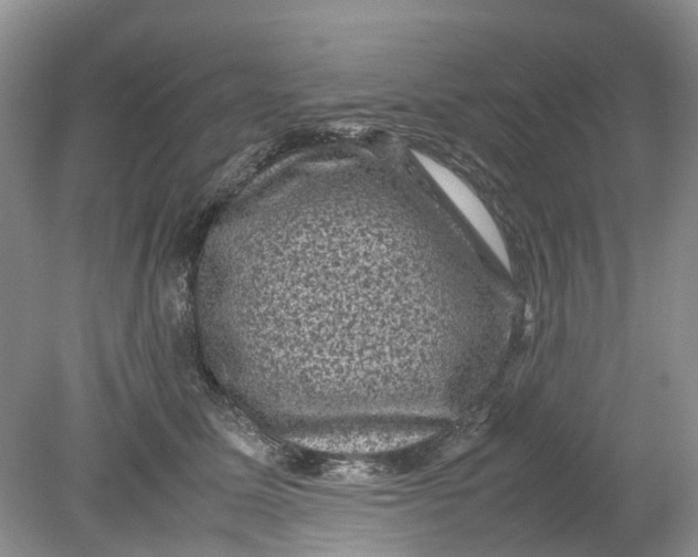 X0000078860611200612041934