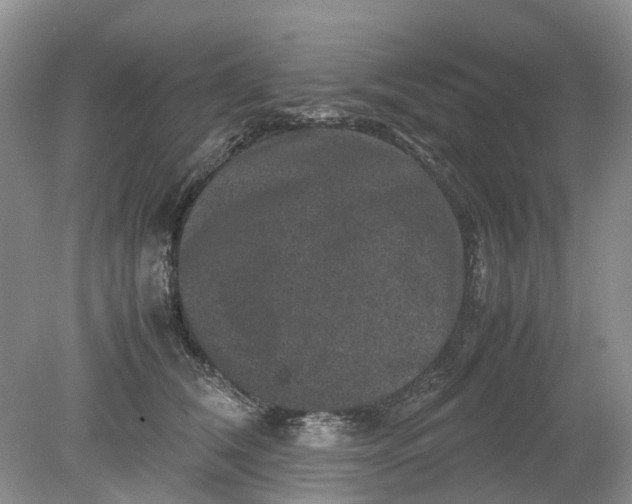 X0000078860612200612041934