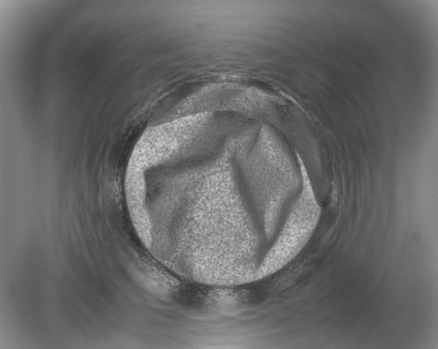 X0000078860613200612041934