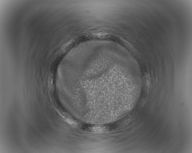 X0000078860615200612041934