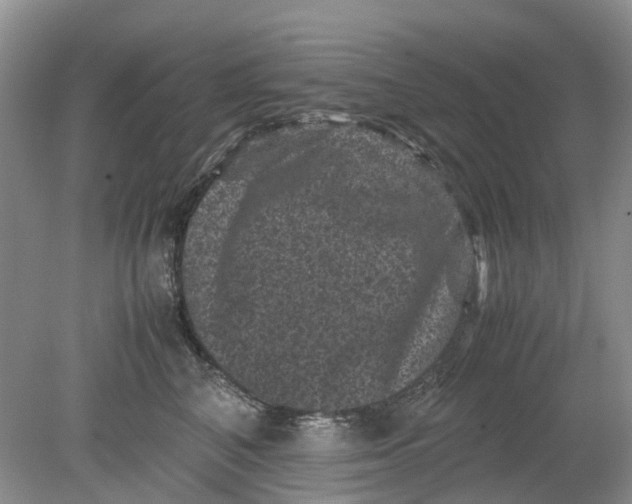 X0000078860616200612041934