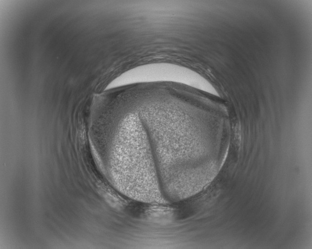 X0000078860617200612041934