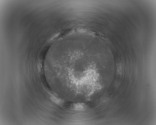 X0000078860618200612041934