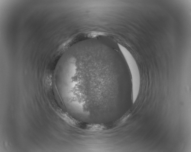 X0000078860621200612041934