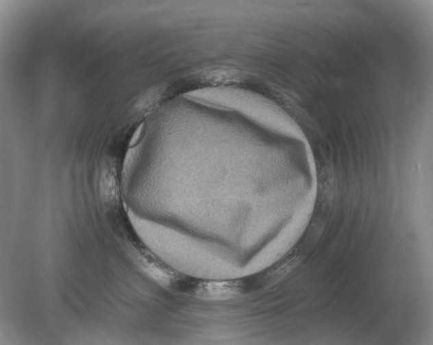 X0000078860622200612041934