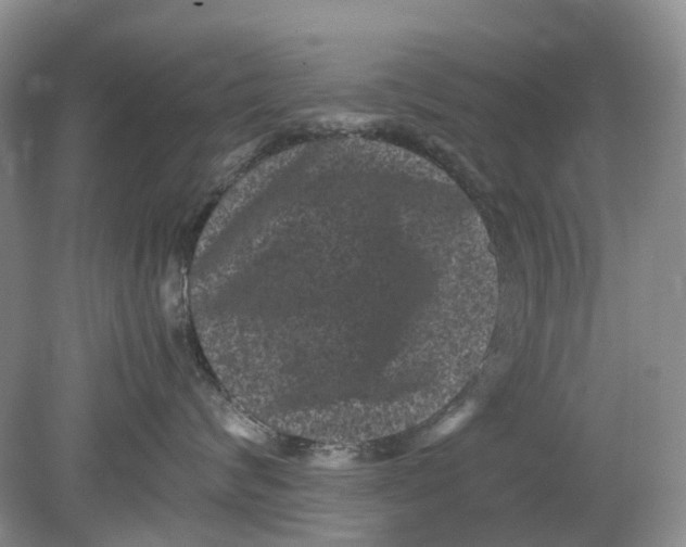 X0000078860624200612041934