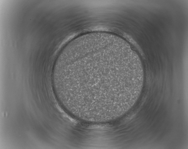 X0000078860625200612041933