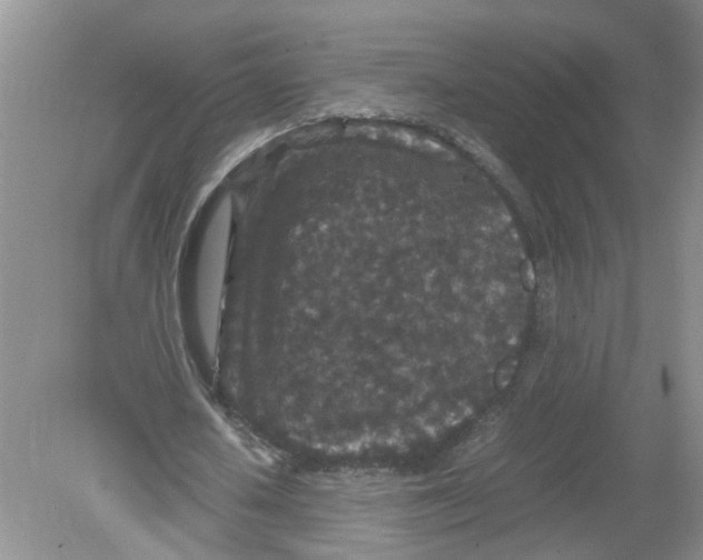 X0000078860626200612041933