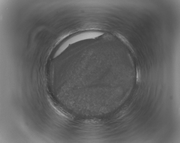 X0000078860627200612041933