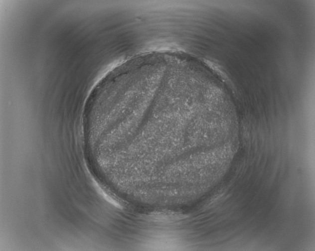 X0000078860630200612041933