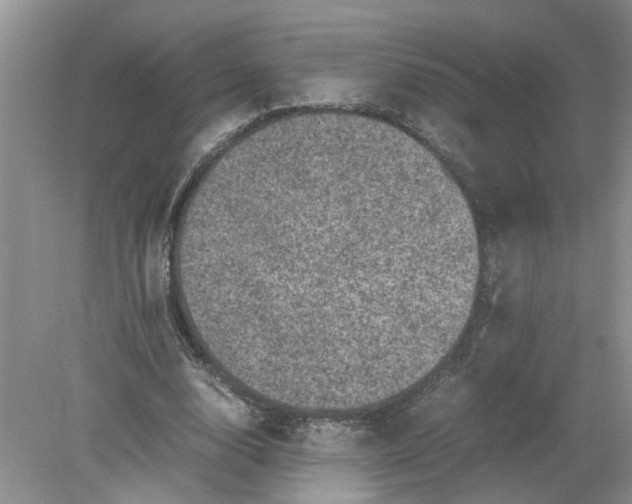 X0000078860632200612041933