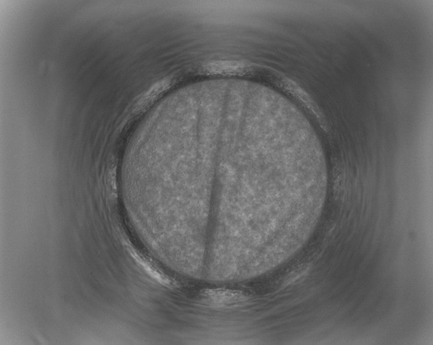 X0000078860633200612041933