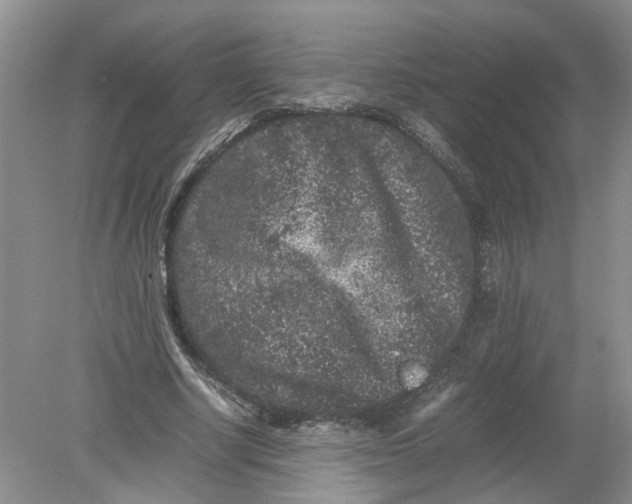 X0000078860634200612041933