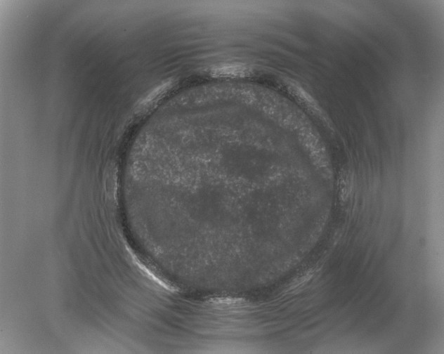 X0000078860637200612041933