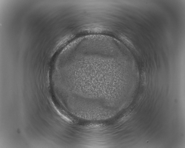 X0000078860638200612041933