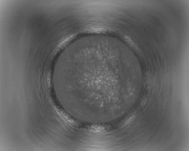 X0000078860640200612041933