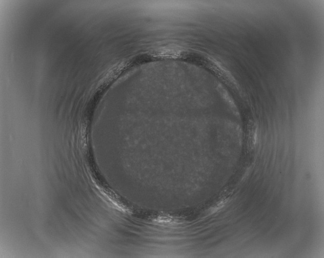 X0000078860641200612041933