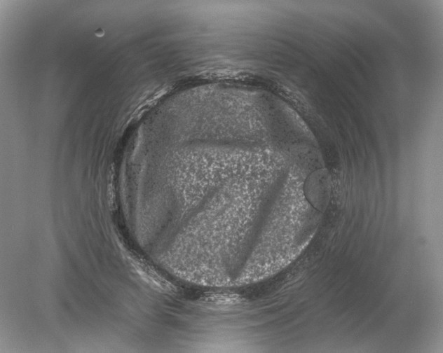 X0000078860642200612041933