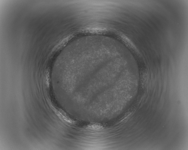 X0000078860644200612041933