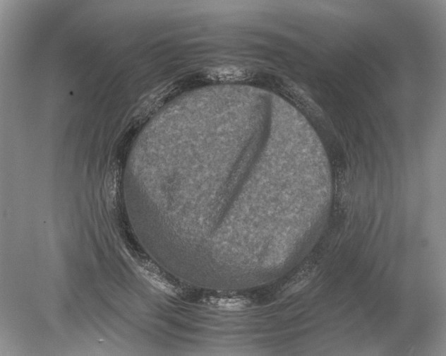 X0000078860645200612041933