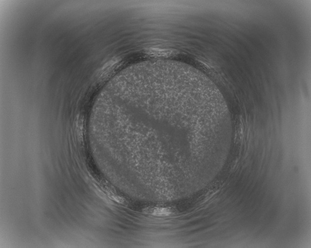 X0000078860647200612041933