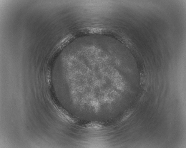 X0000078860648200612041933