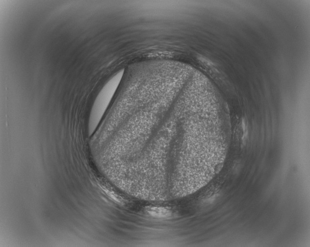 X0000078860649200612041933