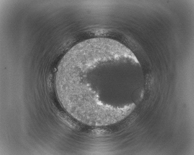 X0000078860650200612041933