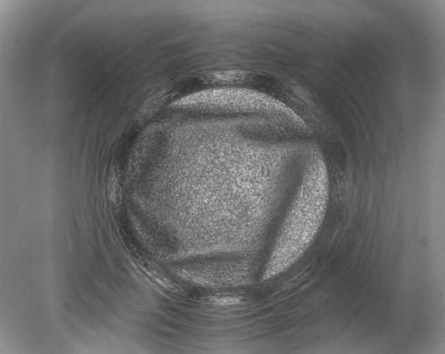 X0000078860651200612041933