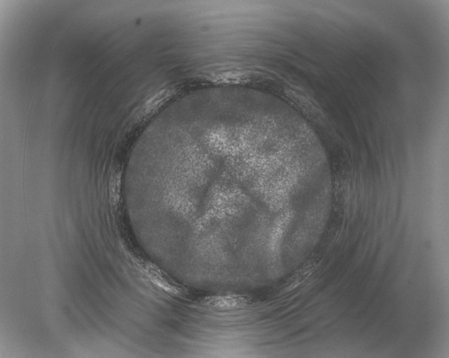 X0000078860652200612041933