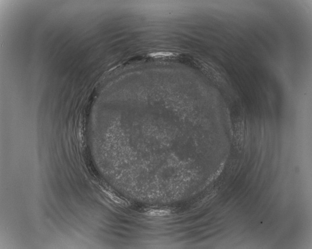 X0000078860653200612041933