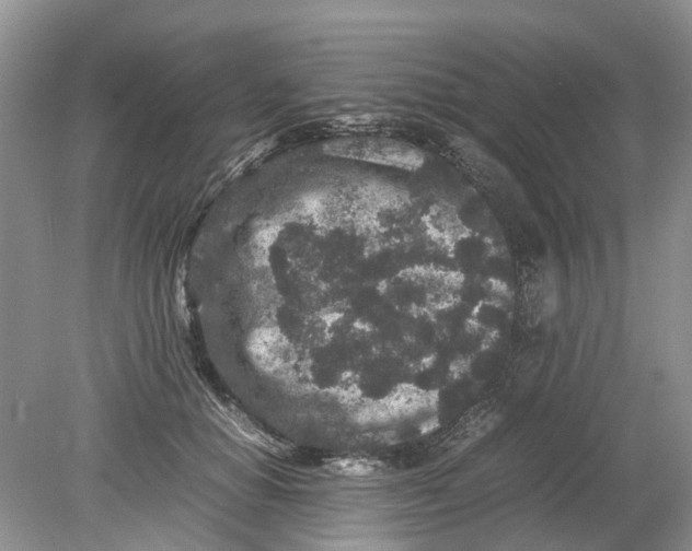 X0000078860654200612041933