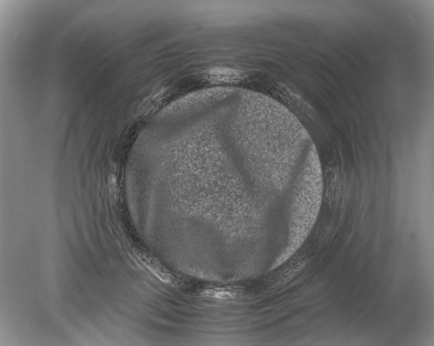 X0000078860655200612041933